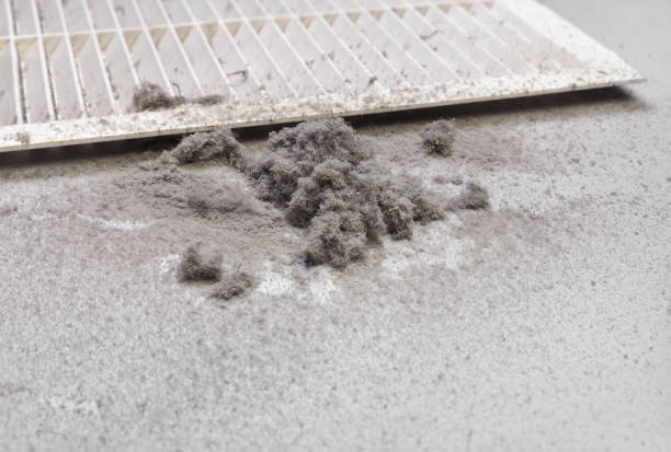 Air Duct Mold Removal in Fairplay, GA