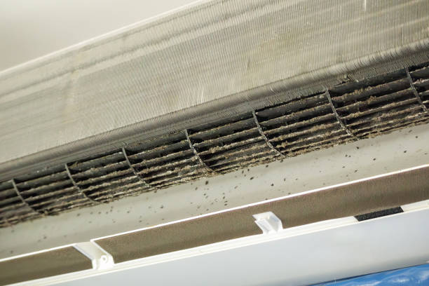 Best Affordable Air Duct Cleaning  in Fairplay, GA